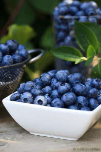 Screen Shot 2015-01-19 at 10.54.24 AM