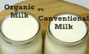 Screen Shot 2015-01-19 at 11.00.36 AM