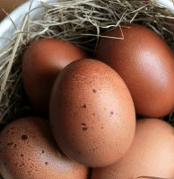 Screen Shot 2015-01-19 at 11.01.34 AM