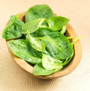 Screen Shot 2015-01-19 at 11.04.37 AM