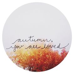 4771387b5f113488329a6298f83b7c1e