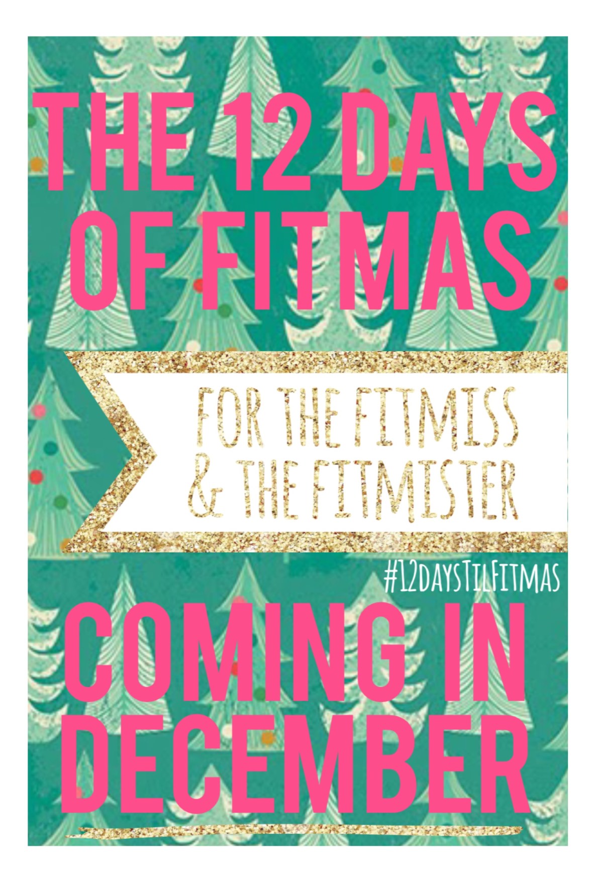 #12daysTilFitmas.jpg
