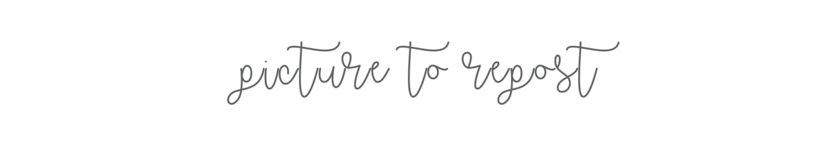 Copy of Copy of Copy of Copy of seashells and sit ups-6